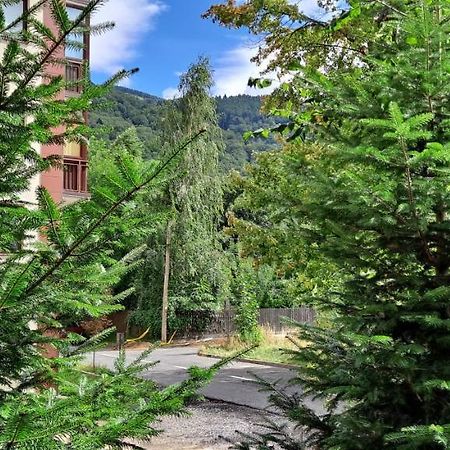 Sinaia Relax Residence Exterior foto