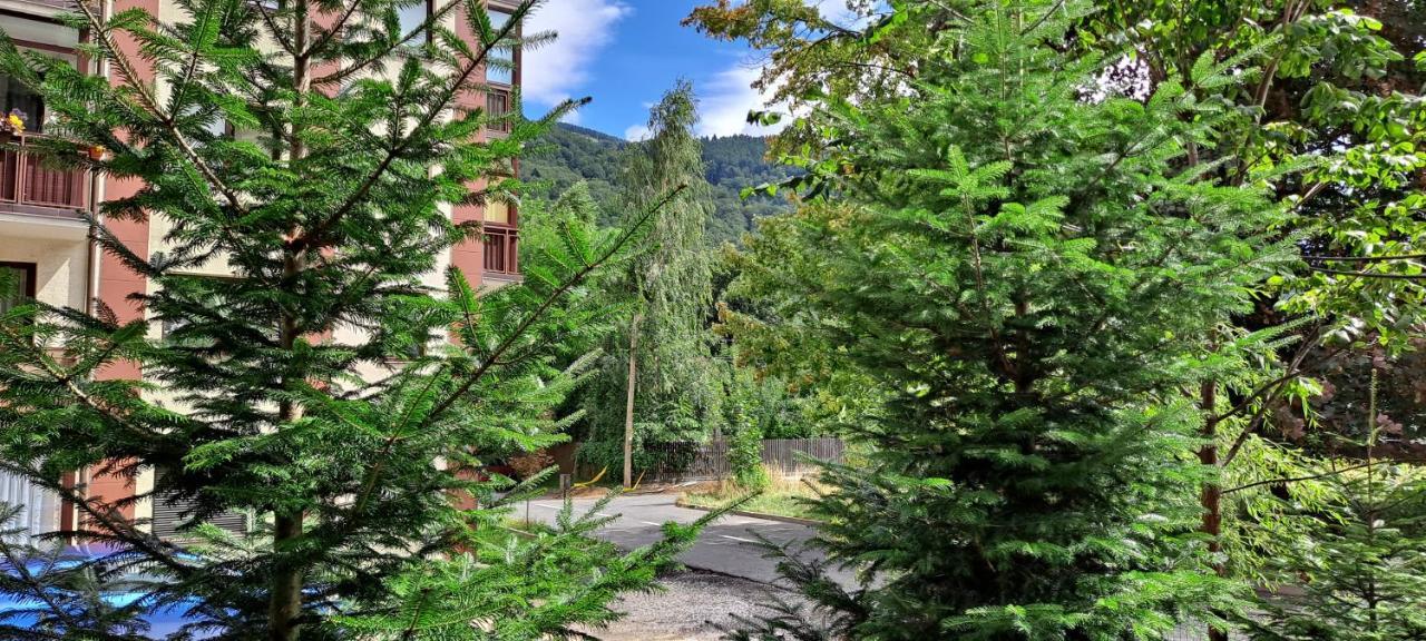 Sinaia Relax Residence Exterior foto